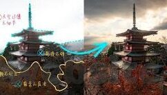 麻豆博传媒-互联网内容创作的多元视角，麻豆博传媒的独特魅力解析
