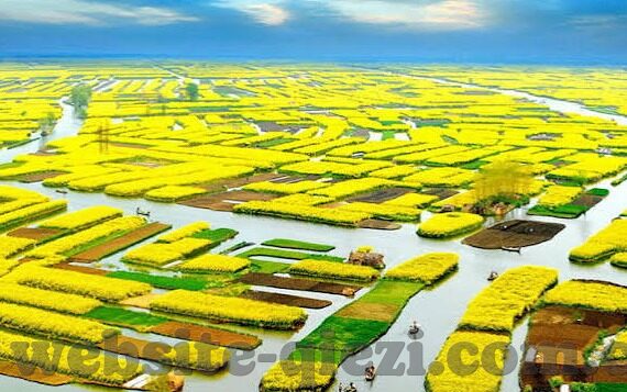 一道在线中文一区二区三区-探索中文在线学习平台的多元化与深度